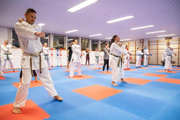 Sporttraining Karate; Training