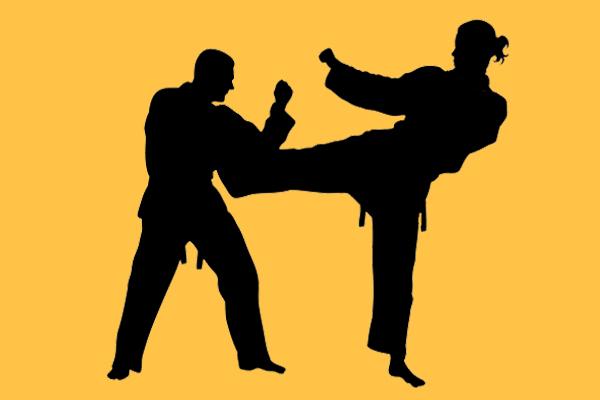 Icons für Sportart Judo