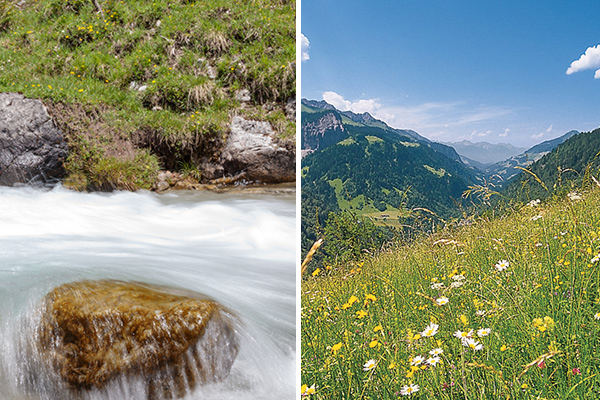Wasserfluss mit Steinen und Berglandschaft mit Blumenwiese