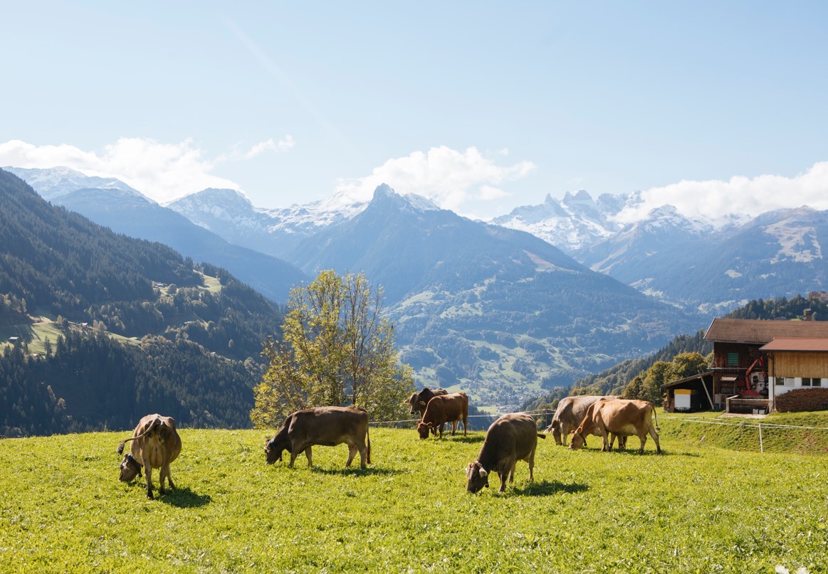 Berglandwirtschaft