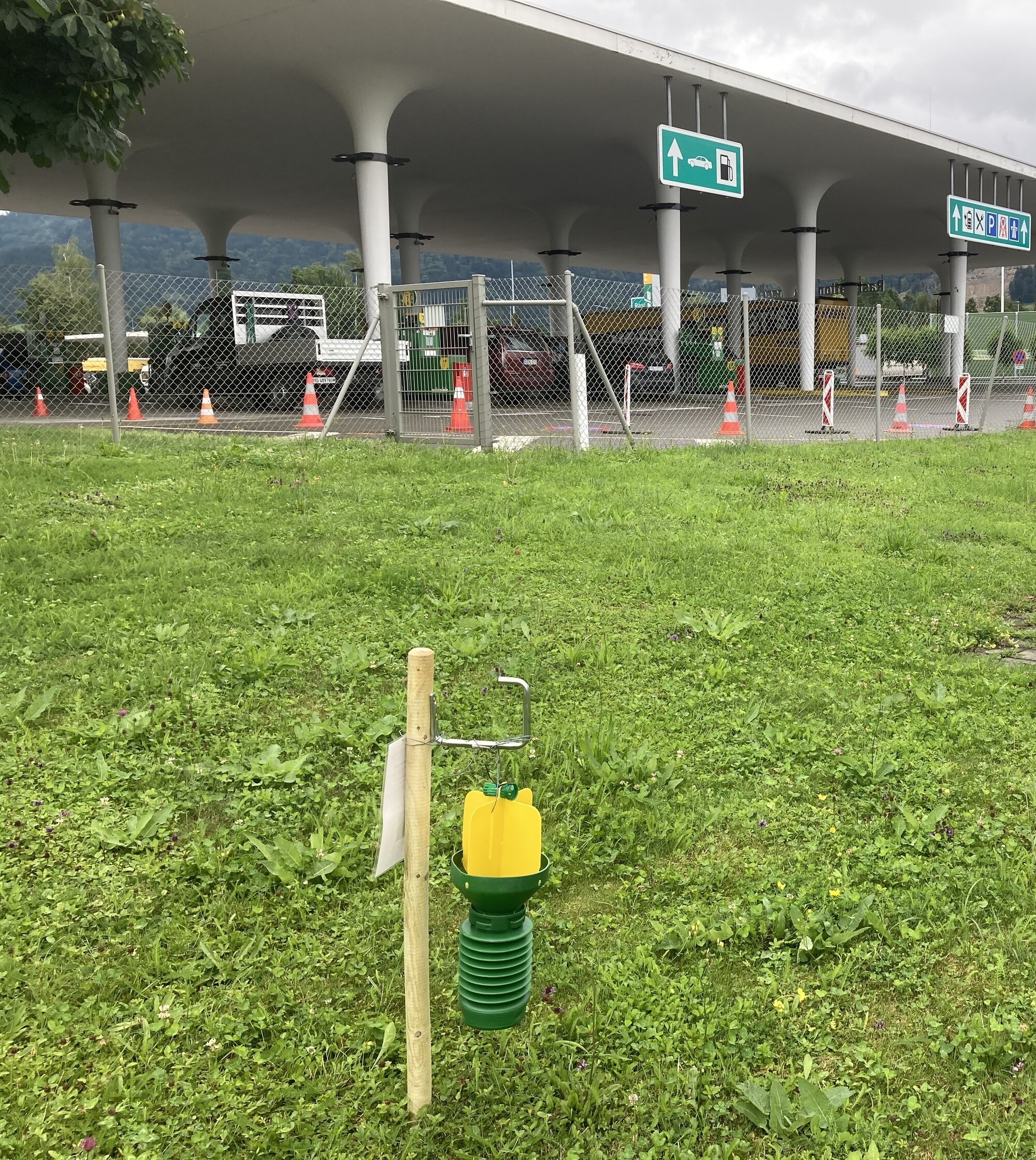 Falle am Parkplatz Hörbranz