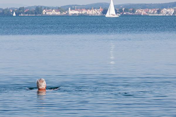 Schwimmender Mann im Bodensee und in der Ferne ein Segelschiff