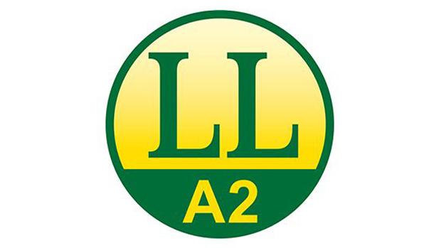 LL A2 Leicht Lesen Logo